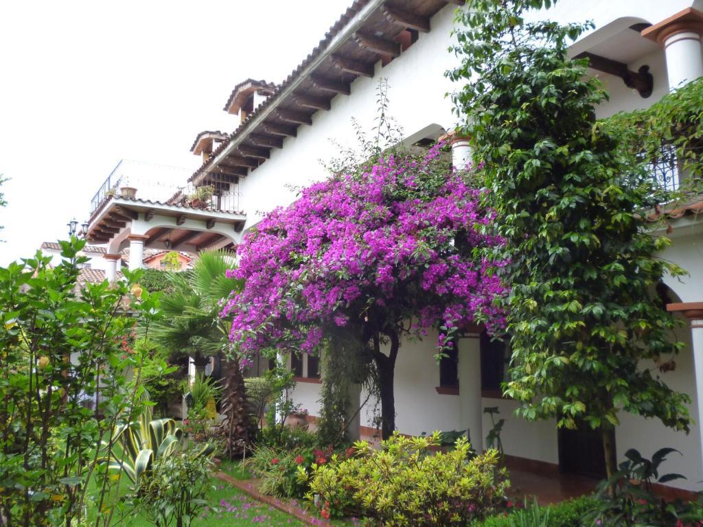 호텔 호벨 San Cristóbal de Las Casas 외부 사진